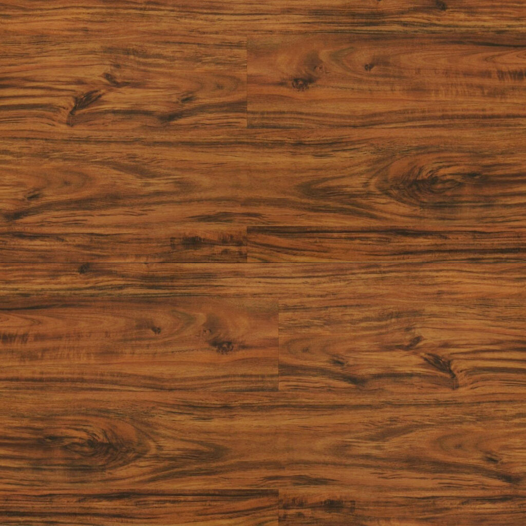 V-EVO MAX 5 colorBlenheim