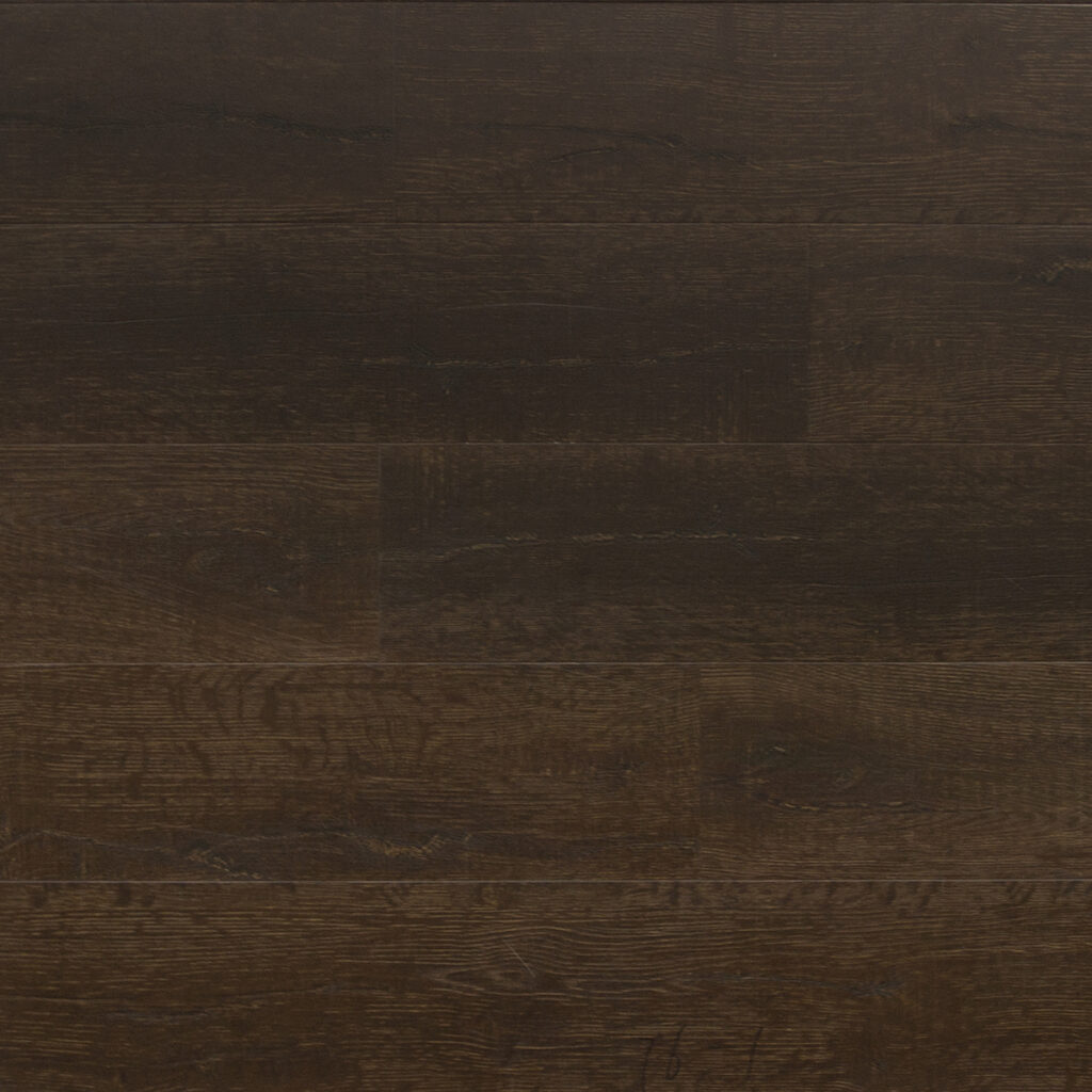 V-EVO MAX 6 colorBuckingham