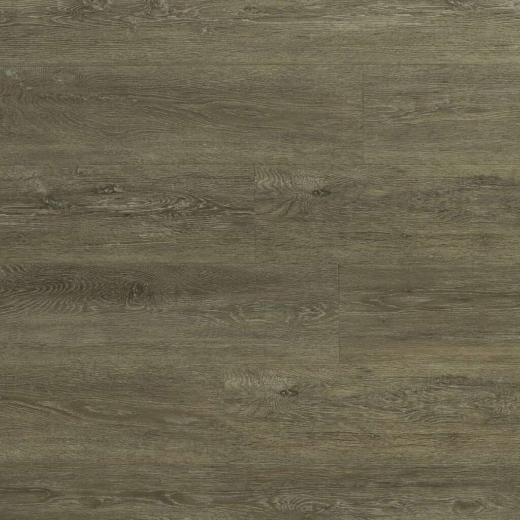 V-EVO MAX 3 colorCarrick