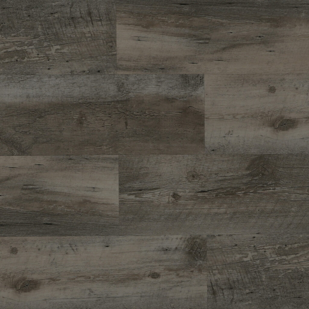 V-EVO MAX 8 colorWarwick