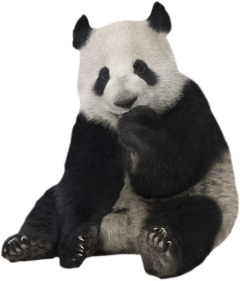 piso vinilico PANZU 2 panzu-panda